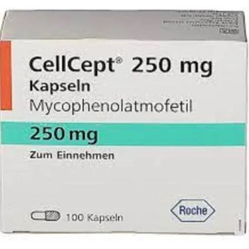 CELLCEPT 250MG CAP