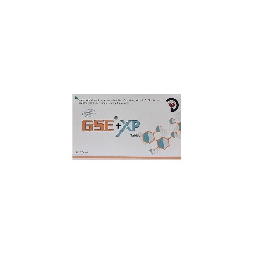 GSE XP TABLET