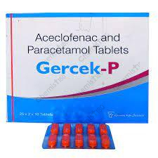 GERCEK P TABLET