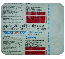 VOAGE MS 500 TABLET