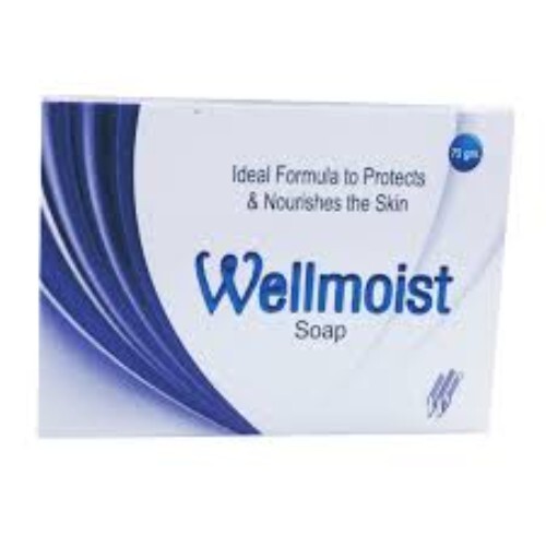 WELLMOIST 75GM SOAP